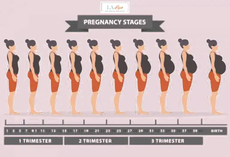 First Trimester (Weeks 1–12): Early Changes You Might Not Notice Sandbach